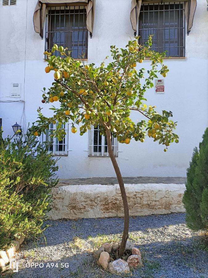 גרנדה Morente Suena La Alhambra מראה חיצוני תמונה
